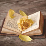 Contemplation: "You are my Story Now" by Sami Ross