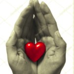 A New Way to Support Awakening Together: Donate Your Used Device
