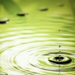 Article~Entraining with Peace