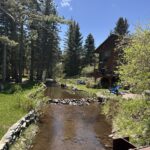 Reflections from the Sangha Led Yoga Infused Silent Retreat