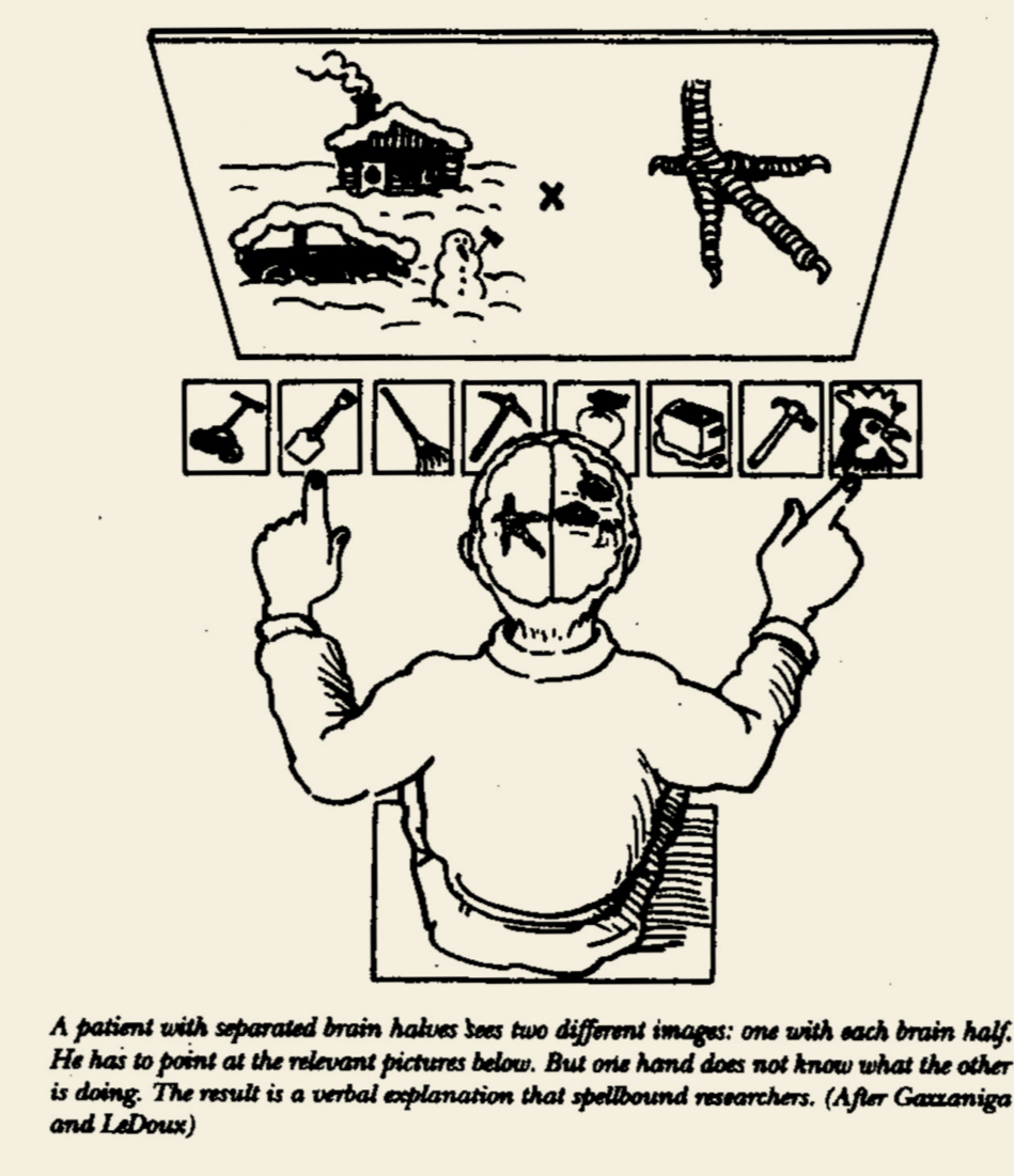 The user illusion by tor norretranders books forum awakening